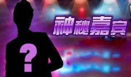 神秘嘉宾爆料生活视频,镜头下的真实日常